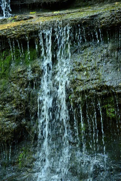 DSC_2756 (Large).JPG